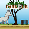 Parkour Dog